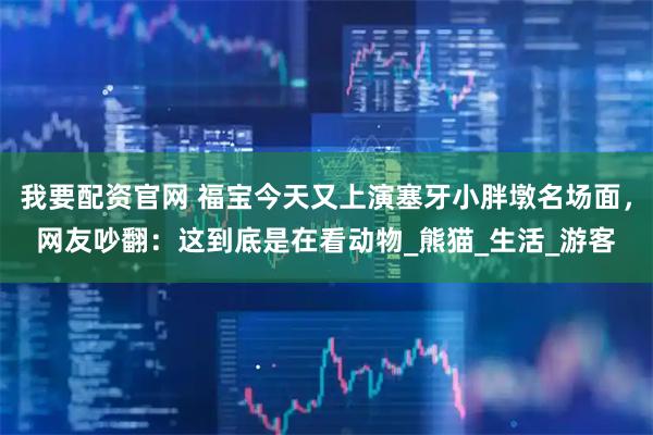 我要配资官网 福宝今天又上演塞牙小胖墩名场面，网友吵翻：这到底是在看动物_熊猫_生活_游客