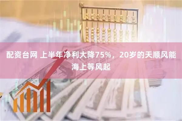 配资台网 上半年净利大降75%，20岁的天顺风能海上等风起