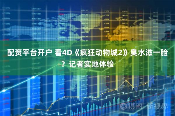 配资平台开户 看4D《疯狂动物城2》臭水滋一脸？记者实地体验